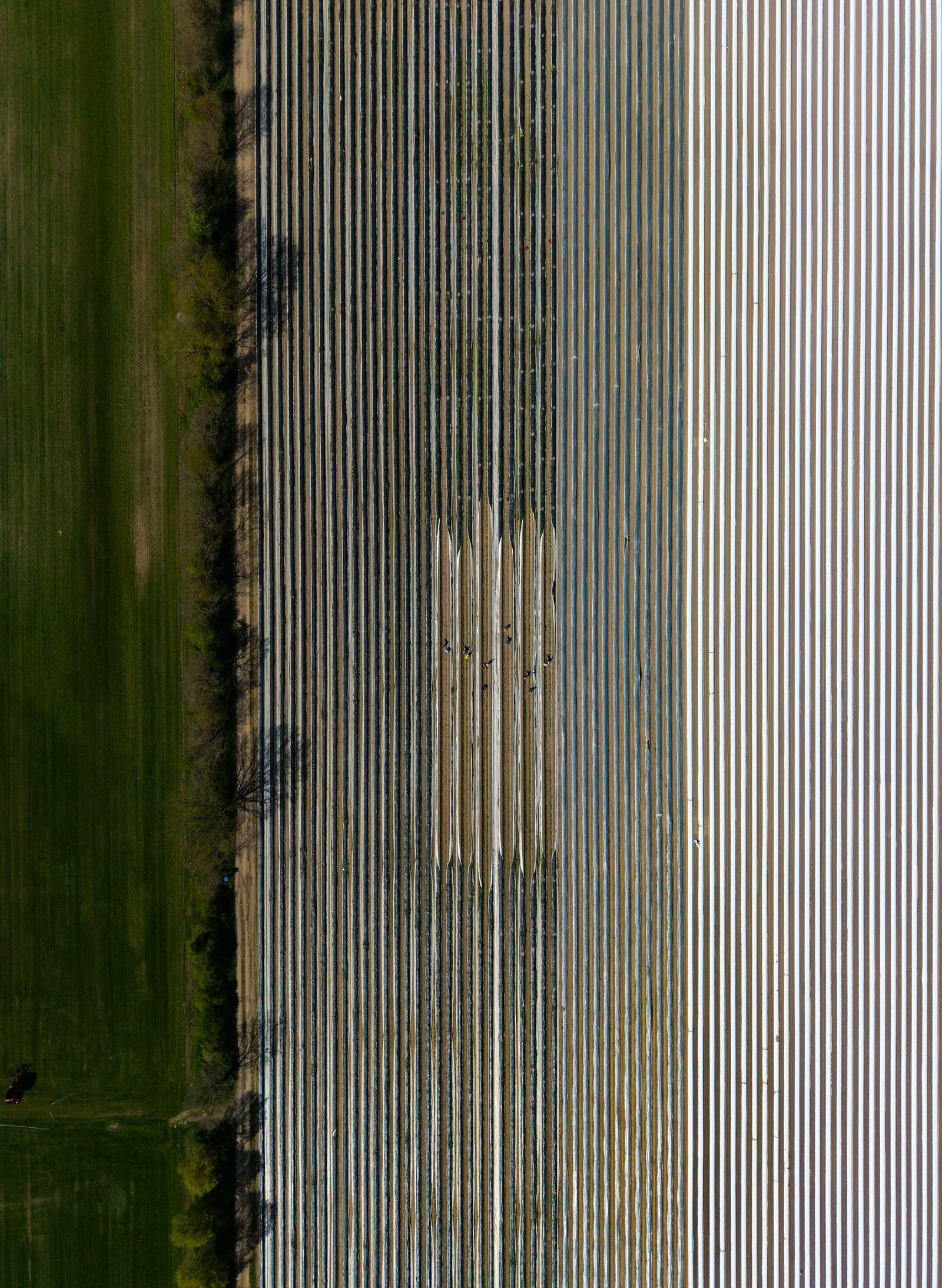 Campos agrícolas vistos do ar, imagem ilustrativa