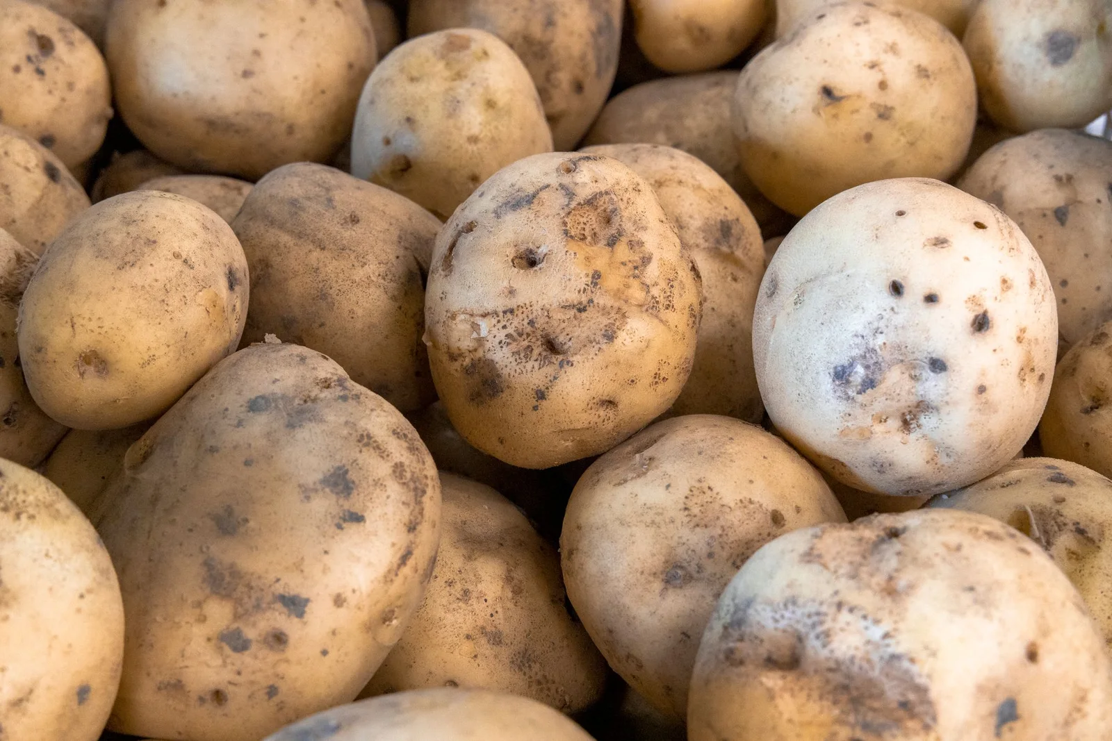 Batata — imagem ilustrativa
